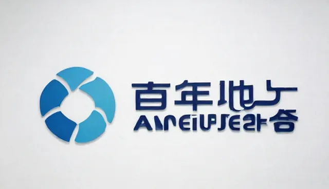 管理咨询在实际应用中的常见问题与处理方法
